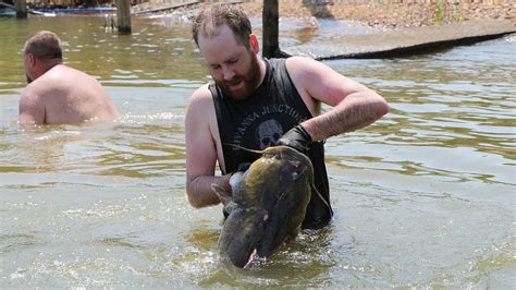 noodling definition catfish|Noodling Catfish: Catching & Noodling Giant Catfish By Hand.